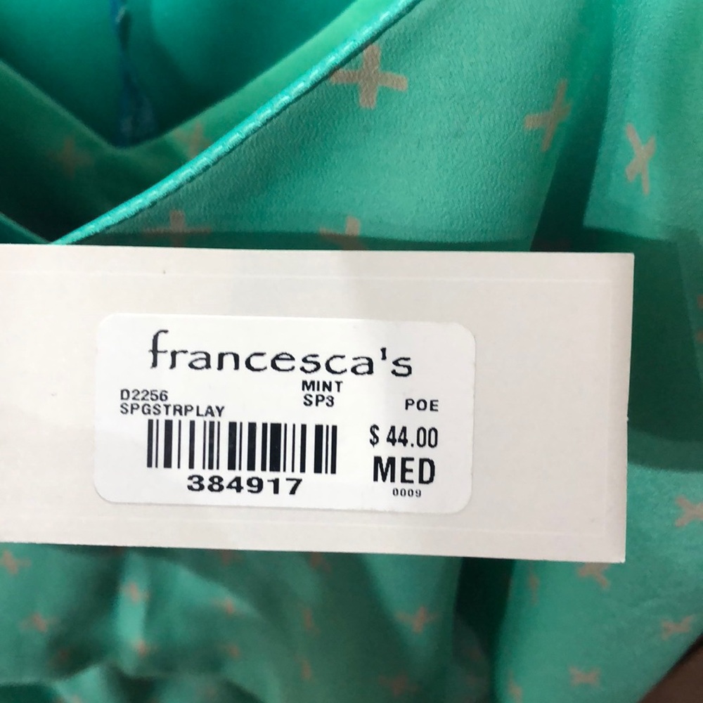 Francesca’s Collection Mint Color Dress!